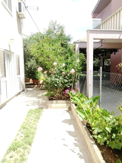 Property building, Spring, Day, Garden, Garden view