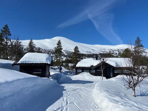 Property building, Winter
