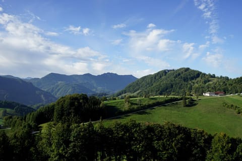 Natural landscape