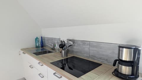 Kitchen or kitchenette, dishwasher, stove