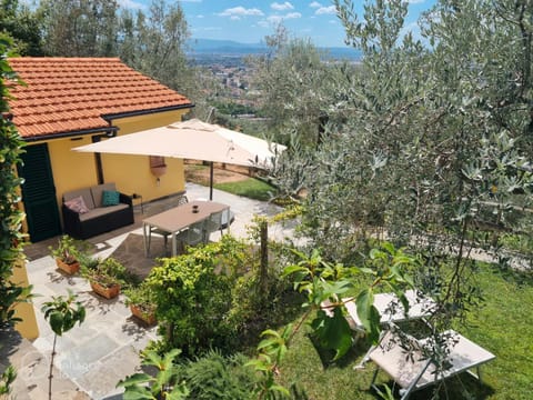 Garden, Solarium, Balcony/Terrace