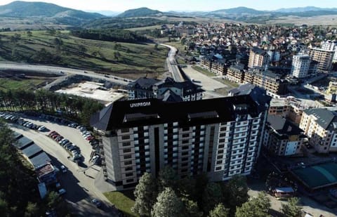 Swan Apartman Apartment in Zlatibor