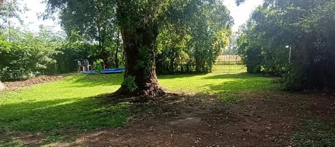 Spring, Day, Natural landscape, Garden, Garden view