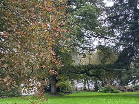 Le Château de John Miles au bord de l’eau House in Brittany