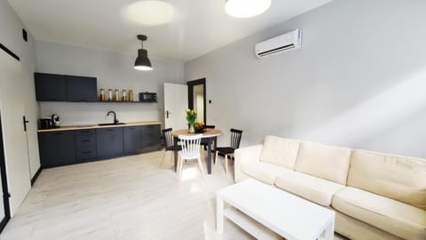 Living room, Seating area, Dining area, air conditioner