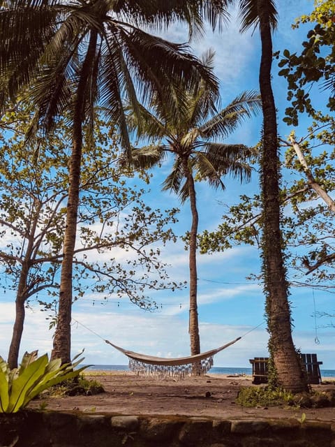 Day, Natural landscape, Beach, Sea view