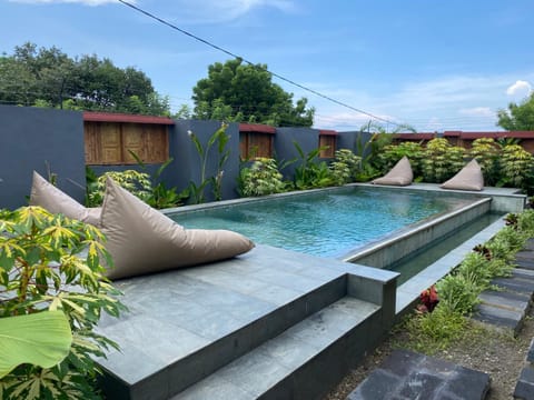 Day, Natural landscape, Garden, Garden view, Pool view, Swimming pool, sunbed
