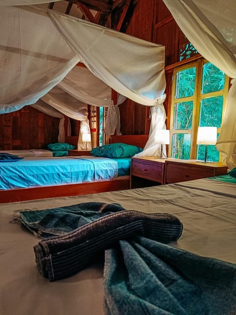 Alaya Ecolodge Nature lodge in Bali