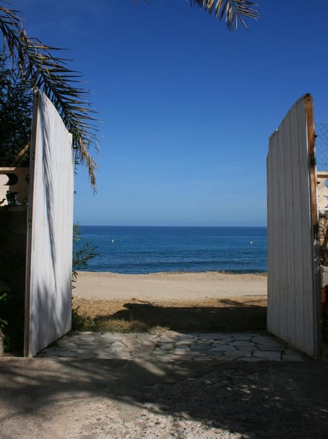 Summer, Snorkeling, View (from property/room), Beach, Canoeing, Diving