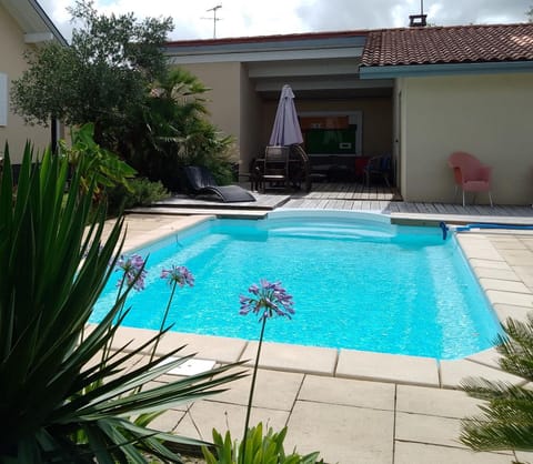 Patio, Swimming pool