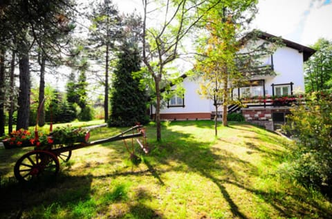 Apartments Breza Apartment in Zlatibor