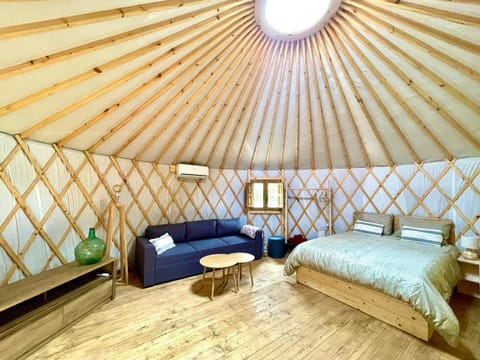 Bed, Living room, Photo of the whole room, Bedroom