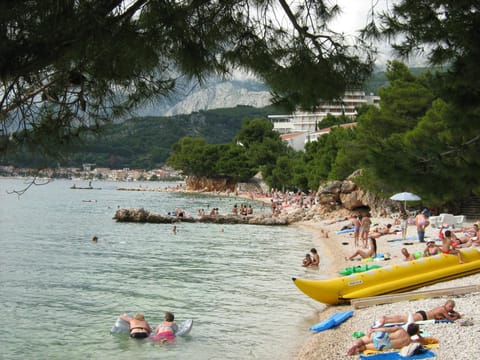 Natural landscape, Beach
