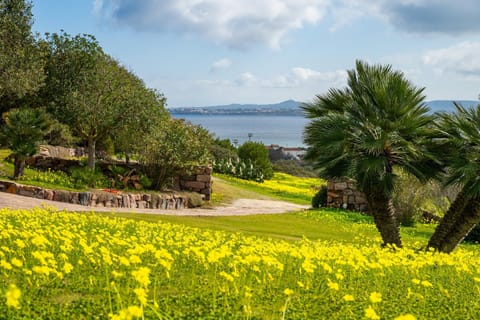 Villa Olga Villa in Carloforte