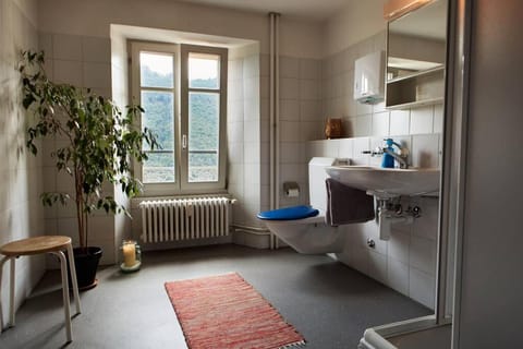 Wild Valley Palm Terrace in Valle Onsernone House in Canton of Ticino