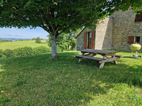 Patio, Garden, Garden view
