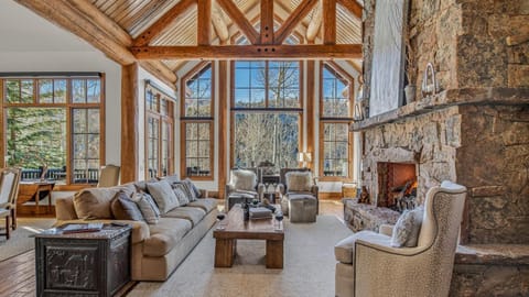 View (from property/room), Living room, Seating area, fireplace, furniture
