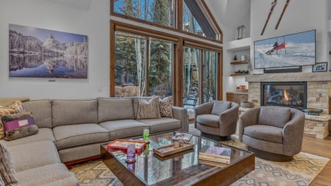 TV and multimedia, View (from property/room), Seating area, fireplace, furniture