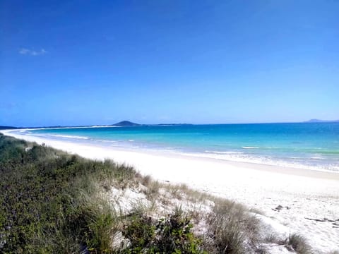 Nearby landmark, Beach