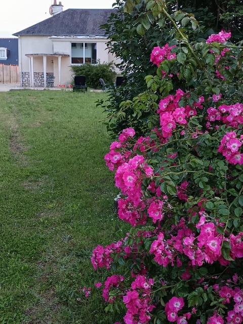 Maison 6 couchages avec jardin au coeur des châteaux de la Loire House in Centre-Val de Loire