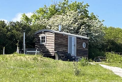 The Daffodil Hut Chalet in England
