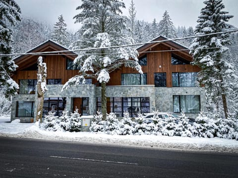 Property building, Natural landscape, Winter