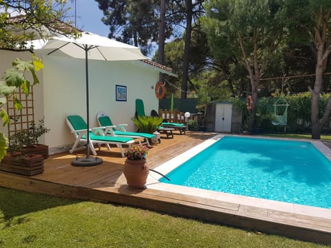 Garden, Pool view, Swimming pool