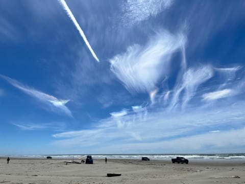 Mermaid Cottage 1-bedroom beach cottage House in Grayland