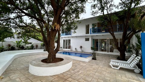 Property building, Patio, Day, Garden, Garden view, Pool view, Swimming pool, sunbed