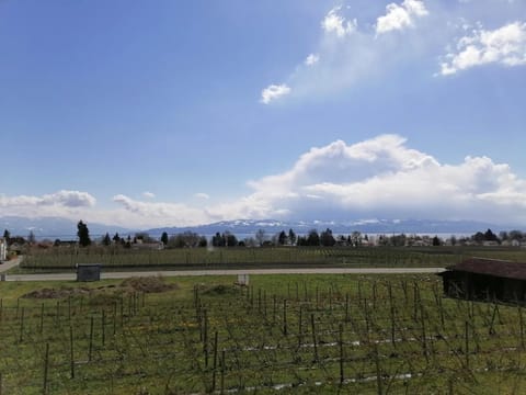 Haus Agatha Apartment in Vorarlberg, Austria