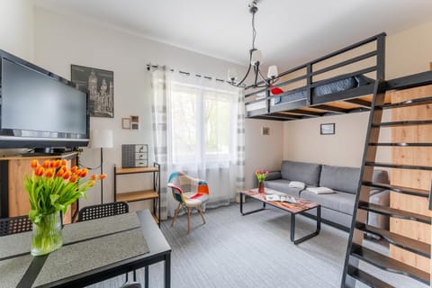 Bed, TV and multimedia, Seating area