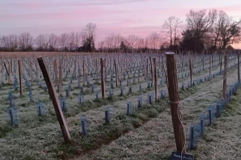 Sous le Grand Chêne, gîte à la ferme, Finistère House in Douarnenez