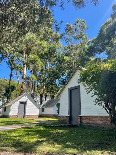 Property building, Garden view
