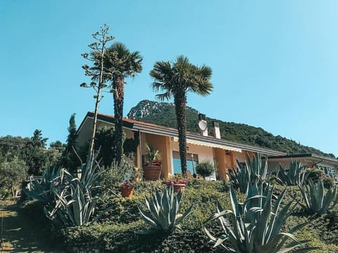 Property building, Mountain view