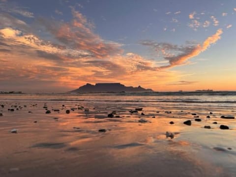 Lovely Garden Studio1 - 10 minute walk from beach Apartment in Cape Town