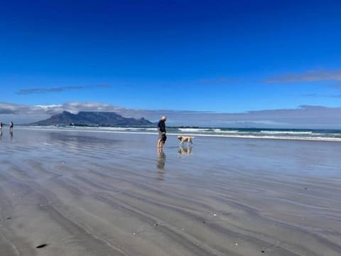 Lovely Garden Studio1 - 10 minute walk from beach Apartment in Cape Town