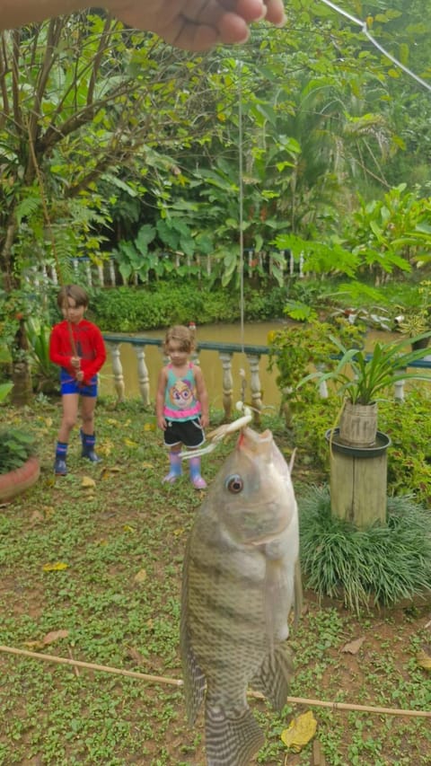 Sítio do Sossego House in Cachoeiras de Macacu