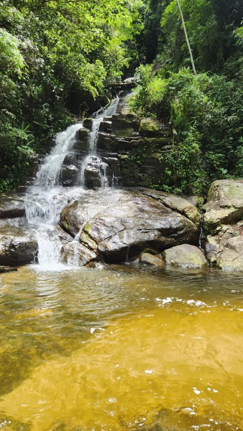 Sítio do Sossego House in Cachoeiras de Macacu
