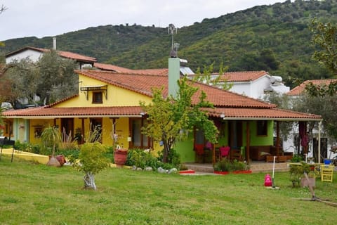 Property view