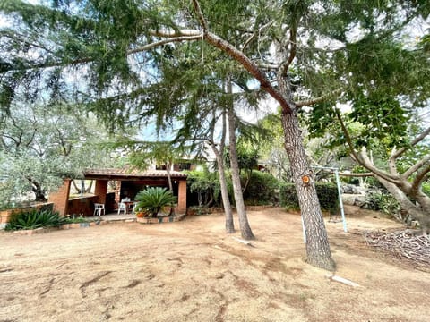 Property building, Garden, Garden view