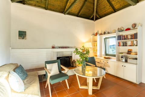 Living room, Seating area, fireplace