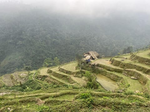 Natural landscape