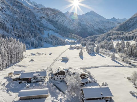 Bird's eye view, Winter, Mountain view