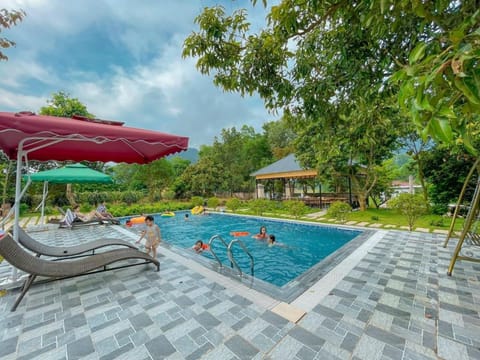 Day, Swimming pool, sunbed