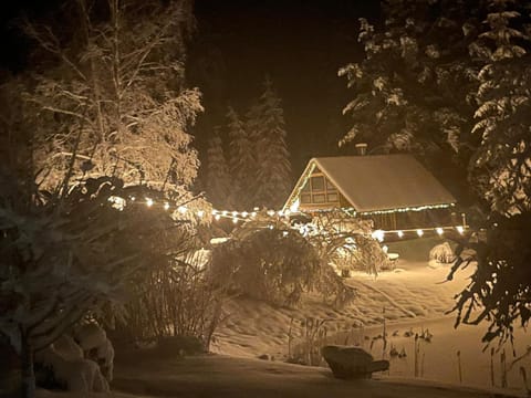 Night, Winter