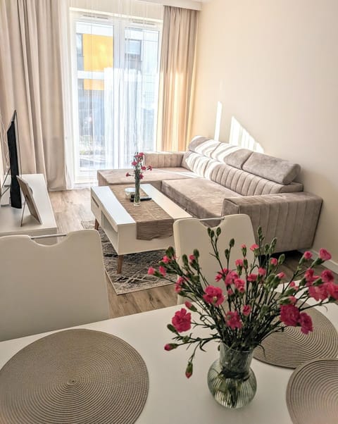 Living room, Photo of the whole room, Seating area