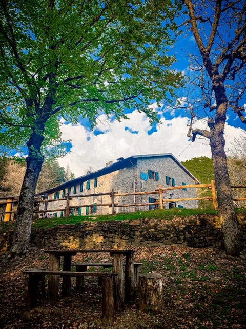 Property building, Natural landscape, Garden, Garden view