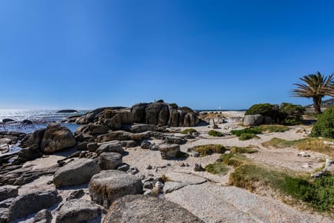 Nearby landmark, Natural landscape, Beach, Sea view