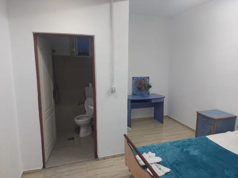 Casa Emilia Ana Maria Vacation rental in Timiș County