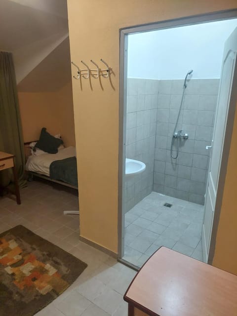 Casa Emilia Ana Maria Vacation rental in Timiș County